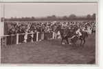 ROCHEFORT SUR LOIRE HIPPODROME DU MARAIS ARRIVEE PRES DES TRIBUNES - Sonstige & Ohne Zuordnung