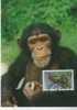 WM0452 Chimpanze Pan Troglodytes Sierra Leone 1983 FDC Premier Jour Maximum WWF - Apen