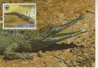 WM0584 Crocodile à Museau Fin Crocodylus Cataphractus Congo 1987 FDC Premier Jour Maximum WWF - Andere & Zonder Classificatie