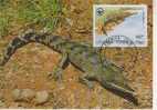 WM0582 Crocodile à Museau Fin Crocodylus Cataphractus Congo 1987 FDC Premier Jour Maximum WWF - Andere & Zonder Classificatie