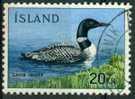 Iceland Islande '67,  Yv. 363, Plongeon Huard Oiseau - Bird Common Loon - Entenvögel