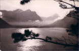 CPSM Format CPA Carte Postale SUISSE Das Schöne Uri Vierwaldstättersee Gegen Bristenstock Und Windgälle REAL PHOTO TBE - Wald