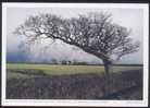 CPM  ROYAUME UNI  Aufziehender Schneesturm Bei Bankhead, Dumfries & Galloway - Dumfriesshire