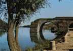 CPSM.  PONT SUR YONNE. LES BORDS DE L'YONNE ET LE VIEUX PONT DU XII EME. ANNEE 70. - Pont Sur Yonne