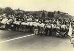 Evènements - Frontière Neuf-Brisach 1981 - Manifestants Allemands Anti-Nucléaire Bloqués Par Gendarmerie - Nu - Disasters