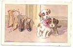 9121) Cartolina Con Cani E Scarpe In Amore-firmata  A. Bertiglia-nuova - Bertiglia, A.