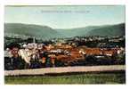 Cpa NIEDERBRONN Les Bains Vue Generale - Cigogne - Niederbronn Les Bains