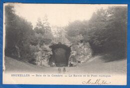 Belgien; Bruxelles; Brussel; Le Ravin Du Bois De La Cambre; 1904 - Forests, Parks
