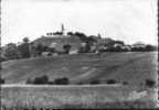 51. CHATILLON SUR MARNE.  LES VIGNES DU COTEAU DE CHATILLON. - Châtillon-sur-Marne