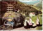 Cpsm De 1965, Bussang (Vosges), Bussenet Et Bussenettes Retour à La Maison, Bien Animée - Bussang