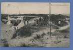 Scouts - Padvinderij /  Les Boys Scouts Dans Les Dunes - Scouting