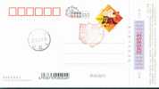 29th Olympic Games Women´s  Badminton  -   Champion , Commemoration Postmark  (27) - Badminton