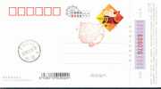 29th Olympic Games Women´s  Doubles Badminton  -   Champion , Commemoration Postmark  (26) - Badminton