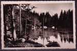 HAUTE SAVOIE - Assy Passy - Le Lac Vert Et Le Mont Blanc - Passy