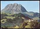 CPM  SUISSE Le Château De Gruyères Et Le Moléson - Gruyères