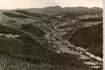 CARTE POSTALE DE LA VALLEE DE MUNSTER - VUE DE L ELTENBERG - Munster