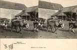 45 - TEILLAY - COUR De FERME - VACHE - CARTE STEREOSCOPIQUE - STEREOVIEW - STEREOSCOPISCHE KAART - Crías