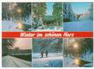 Winter Im Schönen Harz - Alfeld