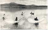 MARIPOSAS LAGO DE PATZCUARO-- PHOTO CARD - Mexique