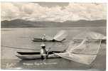 MARIPOSAS LAGO DE PATZCUARO-- PHOTO CARD - Mexique