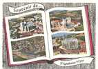 69 )FL) SAINT SYMPHORIEN SUR COISE, Souvenir Multivues (livre) CPSM - Saint-Symphorien-sur-Coise