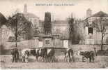 C.P.A    (  MONTIGNY- LE - ROI -  "  Fontaine  Du  Puits - Vachot " Carte Prise De Vue Animée - Vue  Très Rare) - Montigny Le Roi