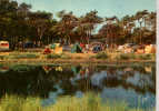 CARTE POSTALE DE SAINT-AYGULF - LE CAMPING - Saint-Aygulf