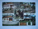 Cachet De Soustons.Villas Dans Les Pins . C.p.photo 15x10 - Soustons