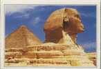 Le Sphinx De Gizeh. Egypte. - Gizeh