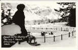 Ellensburg WA Real Photo Postcard, Lazy 'F' Ranch Horses Ice Skating On Pond - Altri & Non Classificati