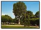 78 VILLENNES Sur SEINE, Place De La Libération, MONUMENT AUX MORTS, CPSM 10x15, Ed Abeille, Voyagé En 1986, Bon état - Villennes-sur-Seine