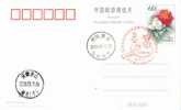 Table Tennis Tennis Tavolo  , Beijing Olympic Games Emblem ( Postmark ),     Pre-stamped Card , Postal Stationery - Tischtennis