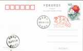 Table Tennis Tennis Tavolo  , Beijing Olympic Games Emblem ( Postmark ),     Pre-stamped Card , Postal Stationery - Tenis De Mesa