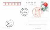 Table Tennis Tennis Tavolo  , Beijing Olympic Games Emblem ( Postmark ),     Pre-stamped Card , Postal Stationery - Tenis De Mesa