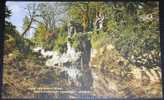 England,The Hermitage,Tollymore Forest,Park,vintage Postcard - Down