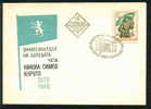 FDC 1691 Bulgaria 1966 /11, Hero Of The Turkish War / Army, Flags, Soldiers, Uniforms , SHIP, ANIMALS LION , - Sobres