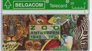 Belgique - Zoo Van Antwerpen - N° 64 - 304 A - Zonder Chip