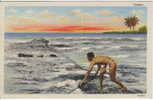 Curteich Vintage Linen Hawaii Postcard ´Casting´, Native Hawaiian Fisherman, Postally Used 1-cent Rate To US 1946/8 - Other & Unclassified