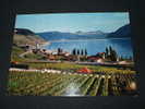 CPM  OU CPSM?? LAC LEMAN-715-CULLY ET LE VIGNOBLE DE LAVAUX - Cully