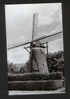 Turnhout "Coppensmolen" Beltmolen Moulin Molen - Turnhout