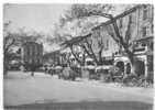 84 /FL/ VAISON LA ROMAINE, Place De Montfort, Les Hotels, CPSM Ed J Cellard, ** - Vaison La Romaine