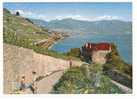 Le Lavaux,Lac Léman Et Le Château De Glérolles Près Rivaz (cpa Animée) .Suisse- Schweiz -Zwitserland Switzerland - Rivaz