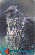 Télécarte à Puce KIRGHIZiSTAN - ANIMAL -OISEAU Rapace FAUCON - HAWK Raptor Bird Phonecard - Vogel TK Eagle - Kyrgyzstan