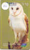 UIL HIBOU Owl EULE Op Telefoonkaart (252) Telefonkarte - Uilen