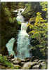 TRIBERG Deutschlands Grösste Wasserfälle - Cascade - Triberg
