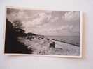 Wismar - Foto Heinrich Wismar Und Insel Poel   - Cca 1950´s    VF  D31472 - Wismar