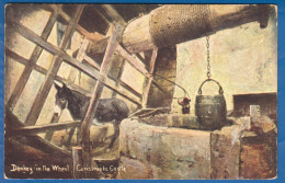 England, Isle Of  Wight; The Donkey In The Wheel, Carisbrooke Castle; 1907 - Autres & Non Classés