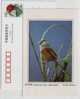 Reed Parrotbill,China 2002 Dongtan Rare Bird Postal Stationery Card - Sparrows