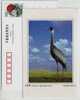 White-naped Crane,China 2002 Dongtan Rare Bird Postal Stationery Card - Cranes And Other Gruiformes