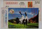 China 2000 Wildlife Animal Protection Pre-stamped Card Black-necked Crane Bird - Cranes And Other Gruiformes